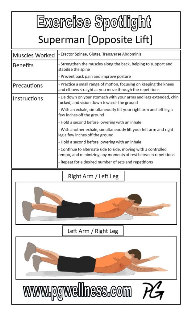 superman-opposite-lift-exercise-spotlight-poster-pgwellness